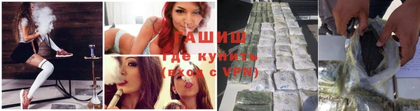 ПСИЛОЦИБИНОВЫЕ ГРИБЫ Верея
