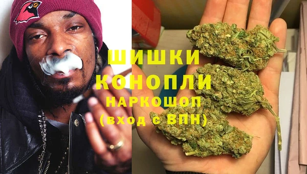 ПСИЛОЦИБИНОВЫЕ ГРИБЫ Верея