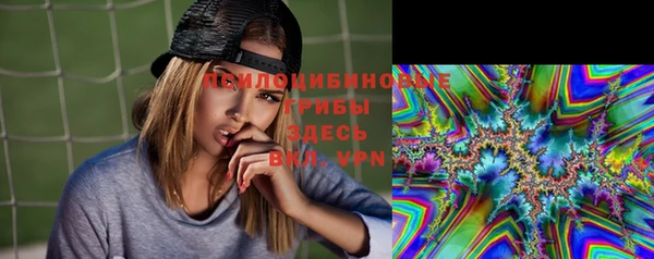 твердый Верхний Тагил