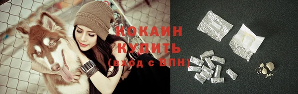 ПСИЛОЦИБИНОВЫЕ ГРИБЫ Верея