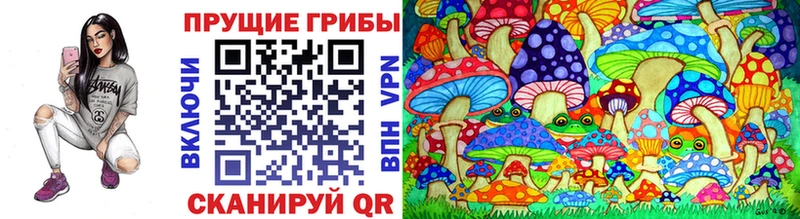 kraken сайт  Кингисепп  Галлюциногенные грибы Magic Shrooms 